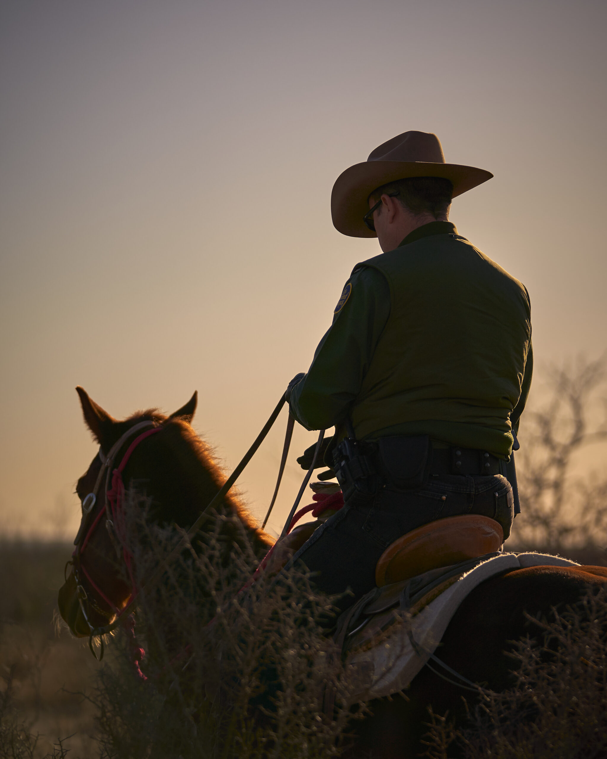 photo-hero-15 Robert Danley, Paradise Pool and Outdoor