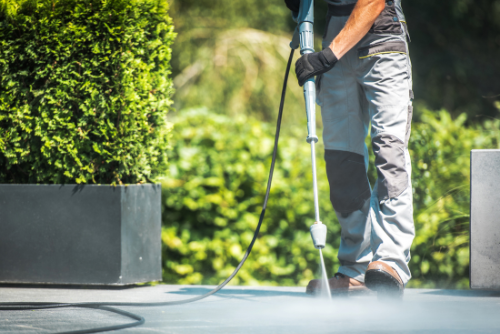 service-3 Backyard cleanup, yard sanitization, and patio washing